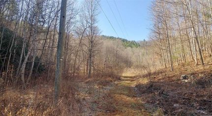 Farm and Ranch in Montgomery County, Virginia