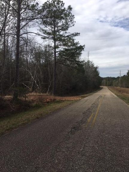 Farm and Ranch in Monroe County, Alabama
