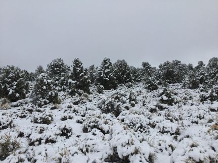Land in Esmeralda County, Nevada