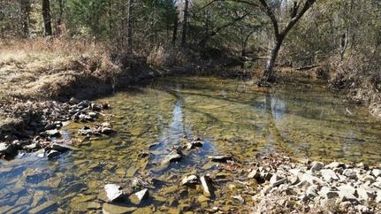 Timberland Property in Haskell County, Oklahoma