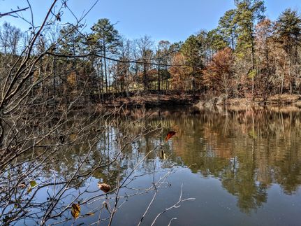 Horse Property in Hall County, Georgia