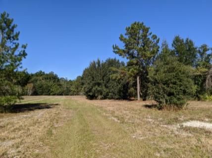Recreational Property in Hamilton County, Florida