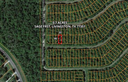 Undeveloped Land in Polk County, Texas