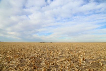 Farm and Ranch in Sedgwick County, Colorado