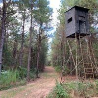 House in Morehouse Parish, Louisiana