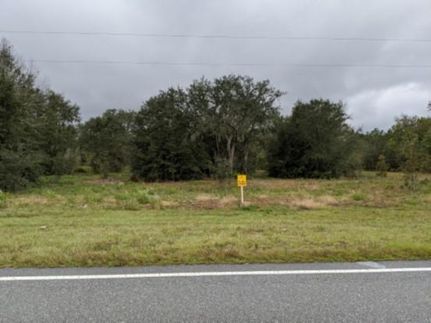 Undeveloped Land in Lafayette County, Florida