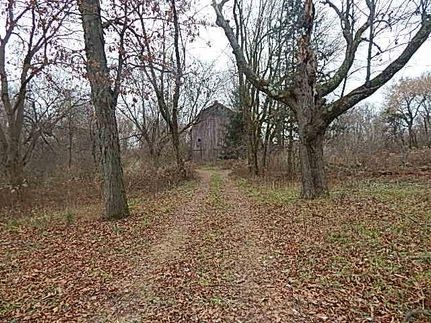 Undeveloped Land in Hillsdale County, Michigan