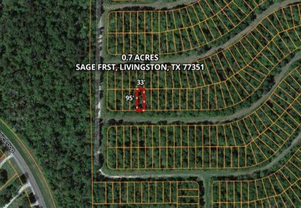 Undeveloped Land in Polk County, Texas