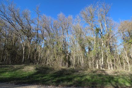Undeveloped Land in Caldwell County, Texas
