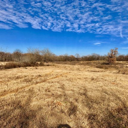 Timberland Property in Hopkins County, Texas