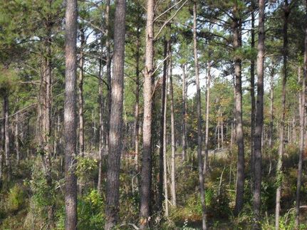 Recreational Property for sale in Butler County, Alabama