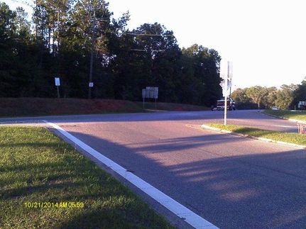 Land for sale in Monroe County, Alabama