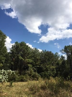 Undeveloped Land in Autauga County, Alabama