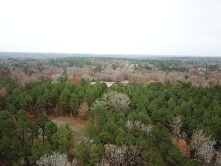Recreational Property in Cass County, Texas