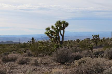 Undeveloped Land in Mohave County, Arizona