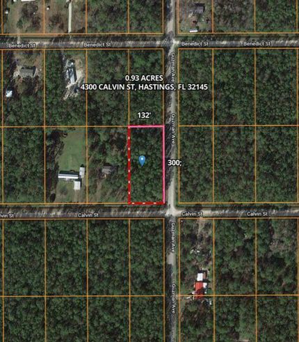 Farm and Ranch in Saint Johns County, Florida