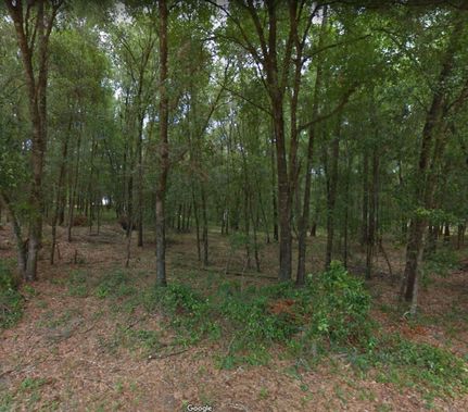 Undeveloped Land in Citrus County, Florida