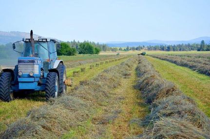 Farm and Ranch in Shasta County, California