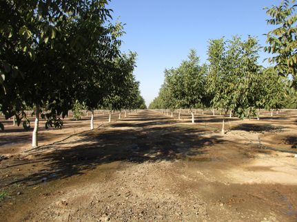 Farm and Ranch in Tulare County, California