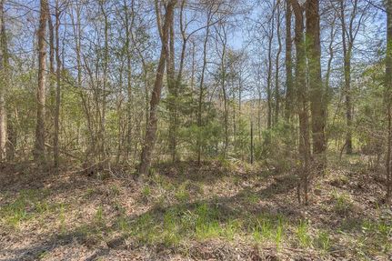Undeveloped Land in Houston County, Texas