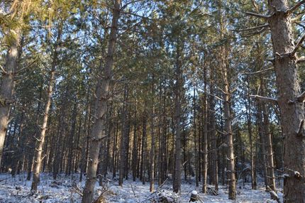 Recreational Property in Juneau County, Wisconsin