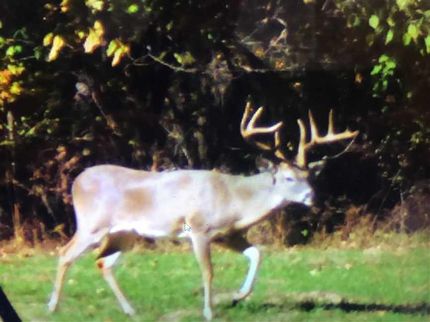 Timberland Property in Red River County, Texas