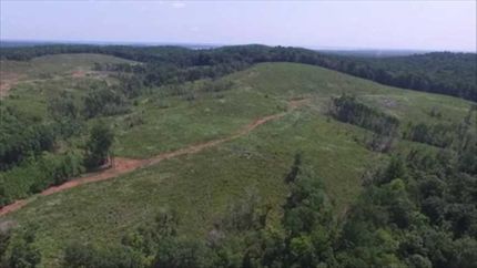 Timberland Property in Sabine County, Texas