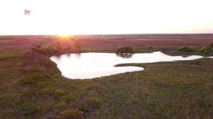 Land in Archer County, Texas