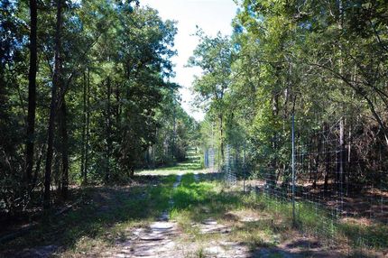 Timberland Property in Angelina County, Texas