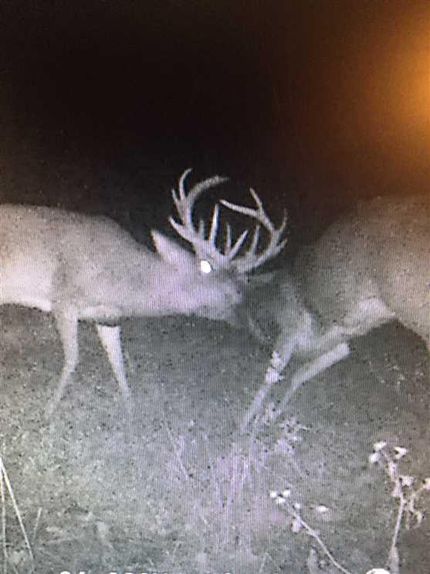 Recreational Property in Douglas County, Missouri