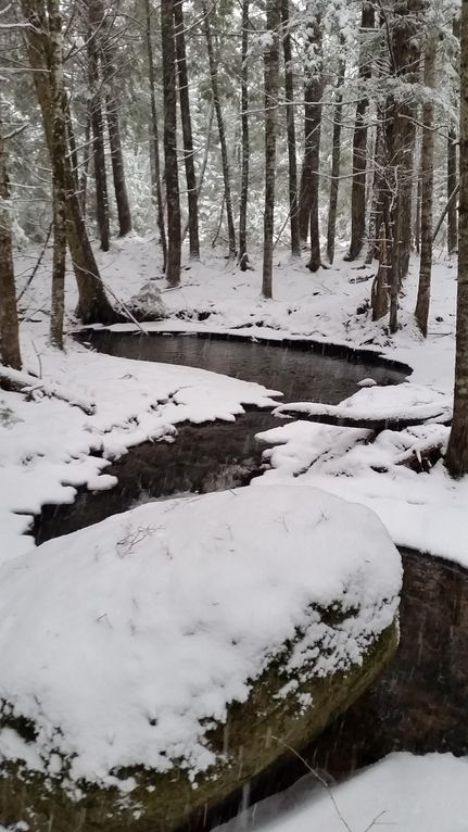 Land in Penobscot County, Maine