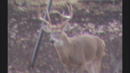 Recreational Property in Coleman County, Texas