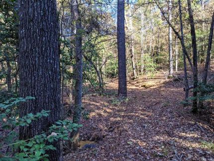 Recreational Property in Cherokee County, Texas