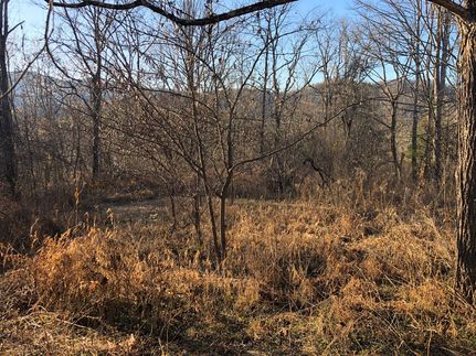 Farm and Ranch in Madison County, North Carolina