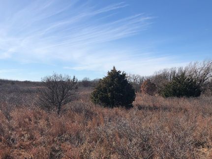 Undeveloped Land in Wheeler County, Texas