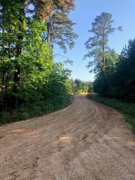 Timberland Property in Union Parish, Louisiana