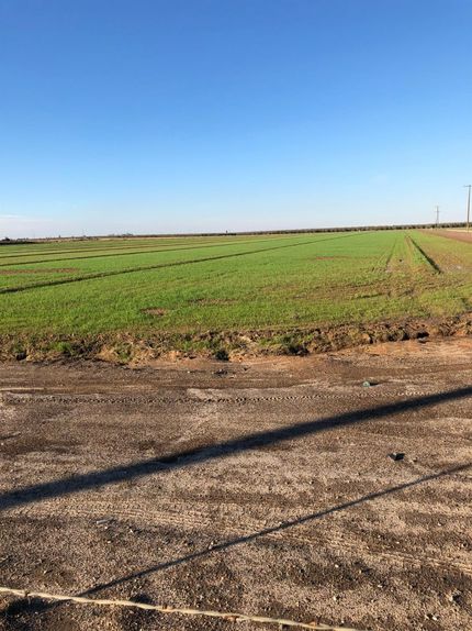 Land in Merced County, California