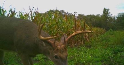 Recreational Property in Ringgold County, Iowa