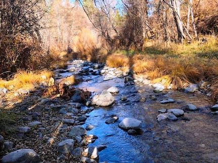 Undeveloped Land in Plumas County, California