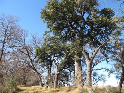 Farm and Ranch in Brown County, Texas