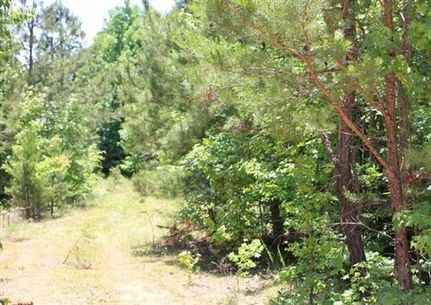 Farm and Ranch in Decatur County, Tennessee