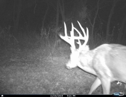 Recreational Property in Bates County, Missouri