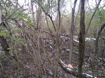 Homesite in Hamilton County, Ohio