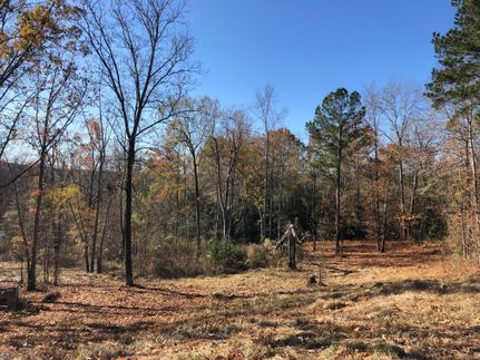Hunting Property in Twiggs County, Georgia