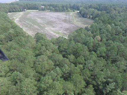 Timberland Property in Hertford County, North Carolina