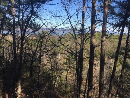 Timberland Property in Pushmataha County, Oklahoma
