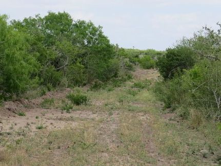 Undeveloped Land in Duval County, Texas