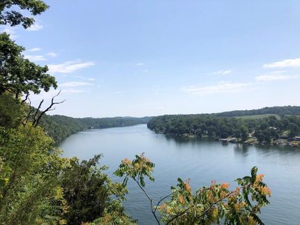 Timberland Property in Pulaski County, Virginia