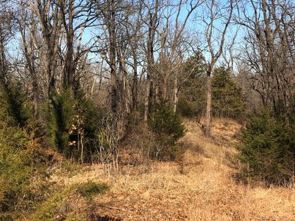 Land in McDonald County, Missouri