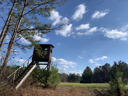 Farm and Ranch in Perry County, Alabama